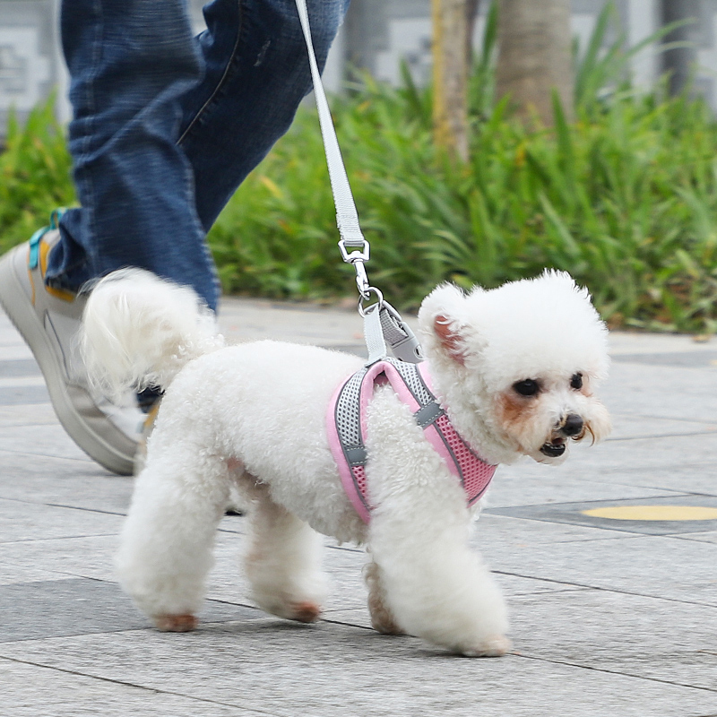 犬 ハーネス メッシュ素材の軽量ハーネス