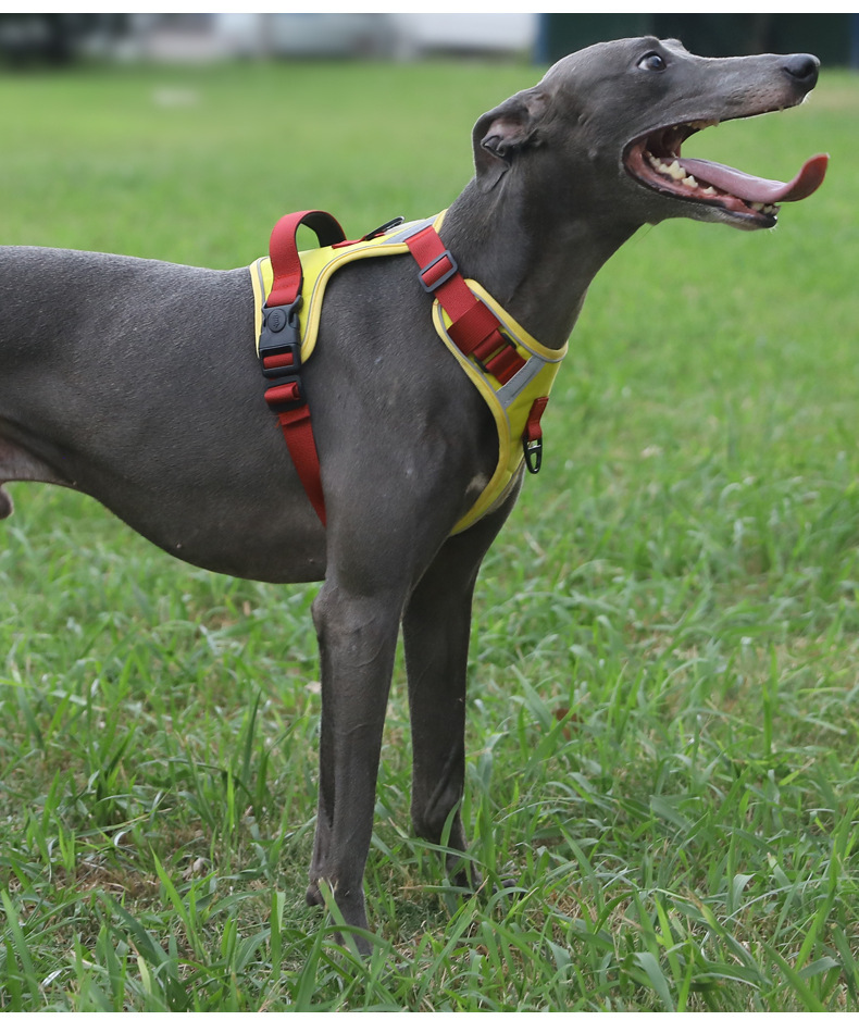 犬 ハーネス しなやかフィット 軽量ハーネス