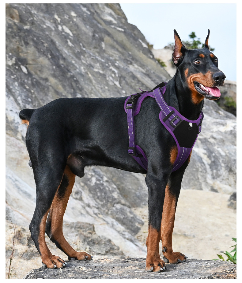 犬 ハーネス フィット感抜群 シンプル機能美ハーネス