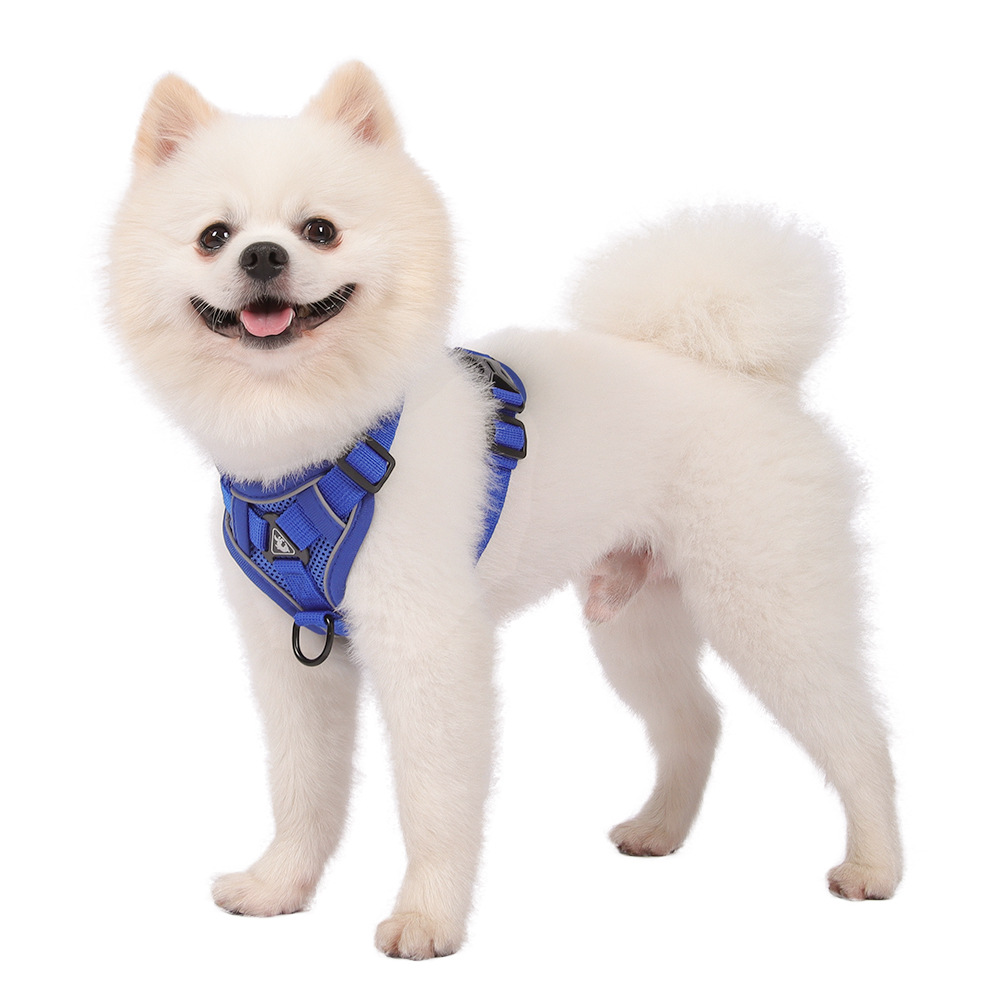 https://fulmo-img-server.com/wonderfulharness/85a85167-dfe5-4f9c-9b07-05fe2d43fbb8.jpg