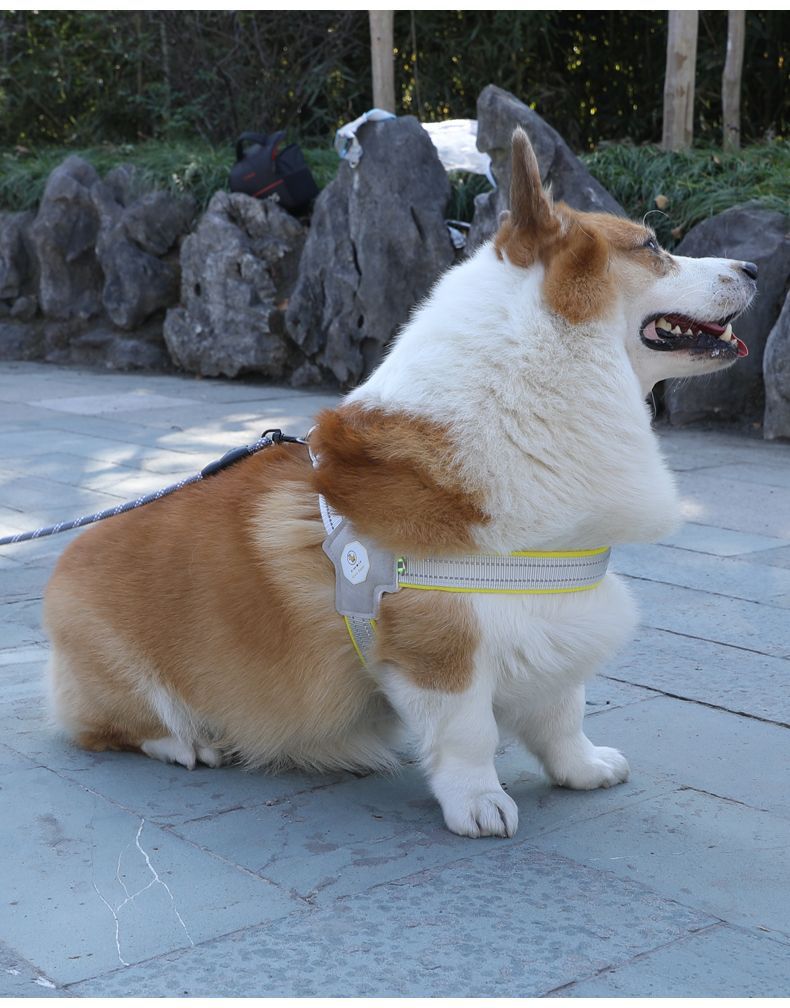 犬 ハーネス やさしい着け心地 散歩ハーネス