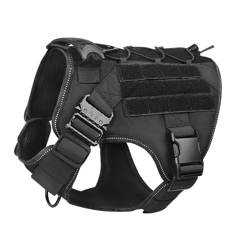 https://fulmo-img-server.com/wonderfulharness/8630d2dd-0341-40ad-bb4a-c8be8b008e40.jpg