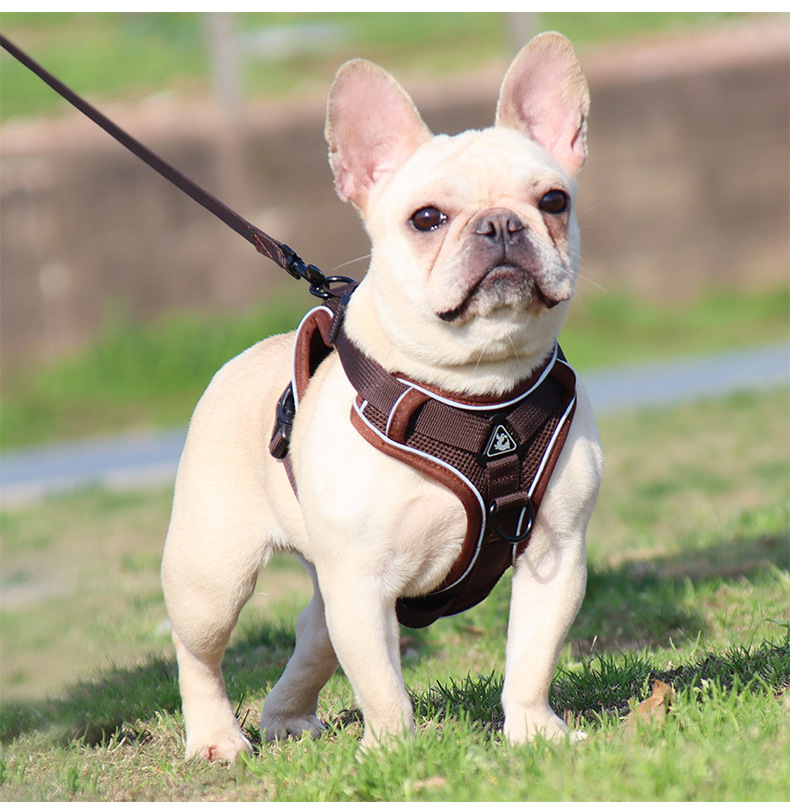 犬 ハーネス やさしい装着ハーネス