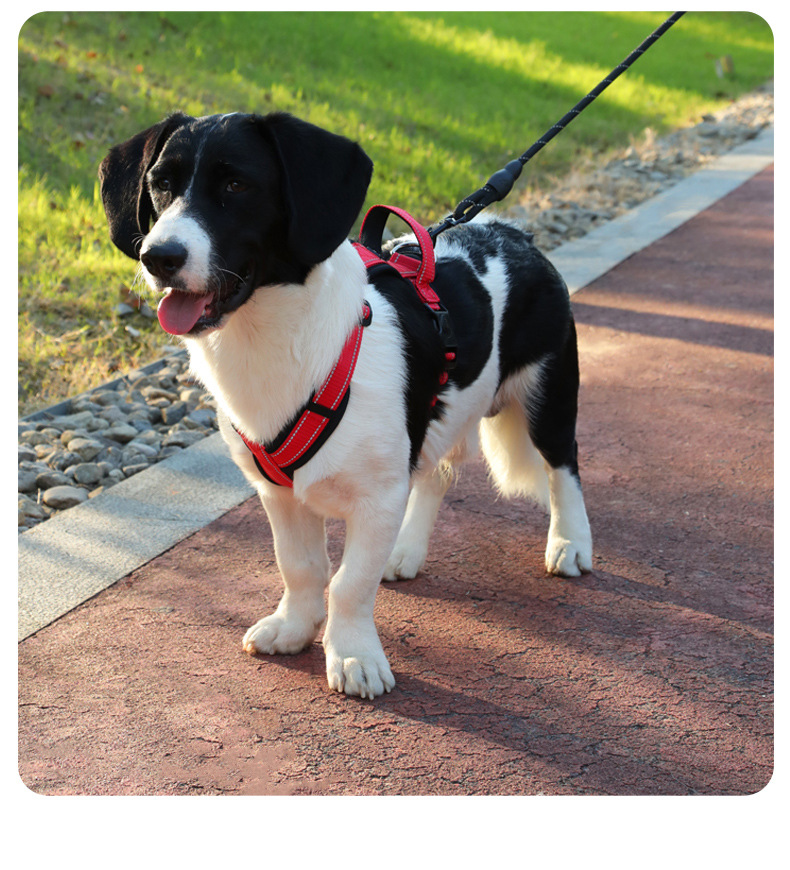 犬 ハーネス シームレス快適ハーネス