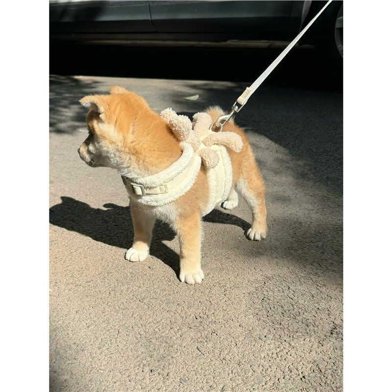 犬 ハーネス ふわもこウィングハーネス