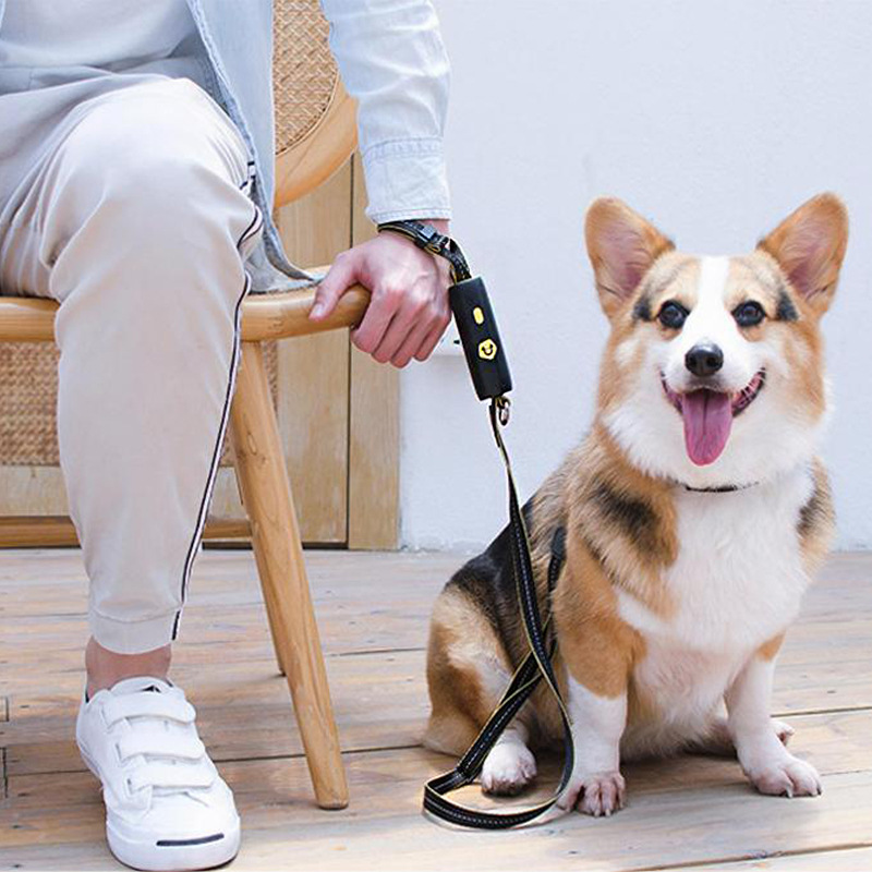 犬 ハーネス ななめ掛けリード散歩紐