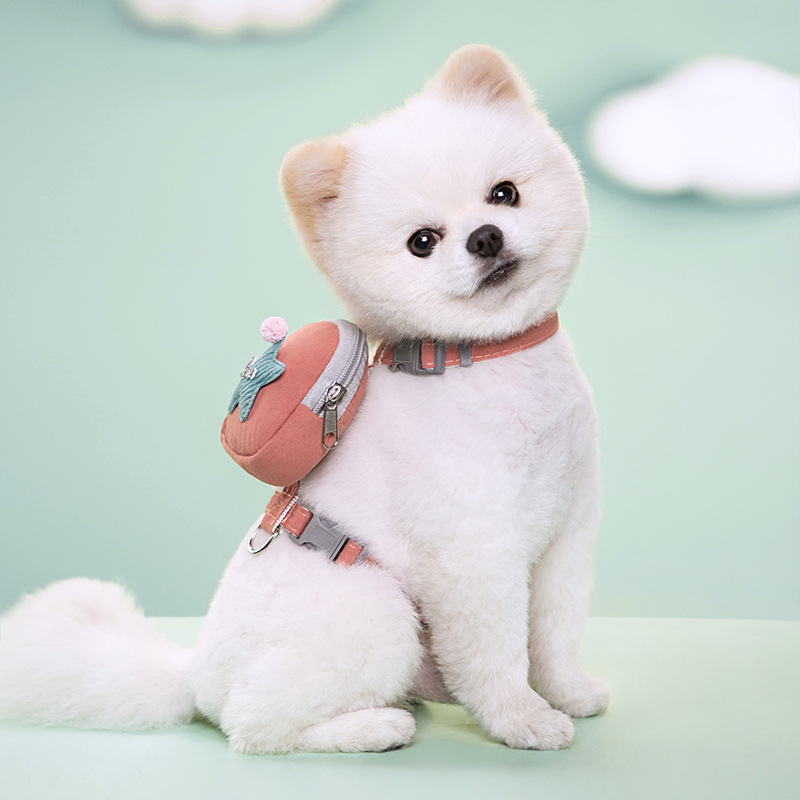 犬 ハーネス ミニ星空ポーチ付き散歩セット