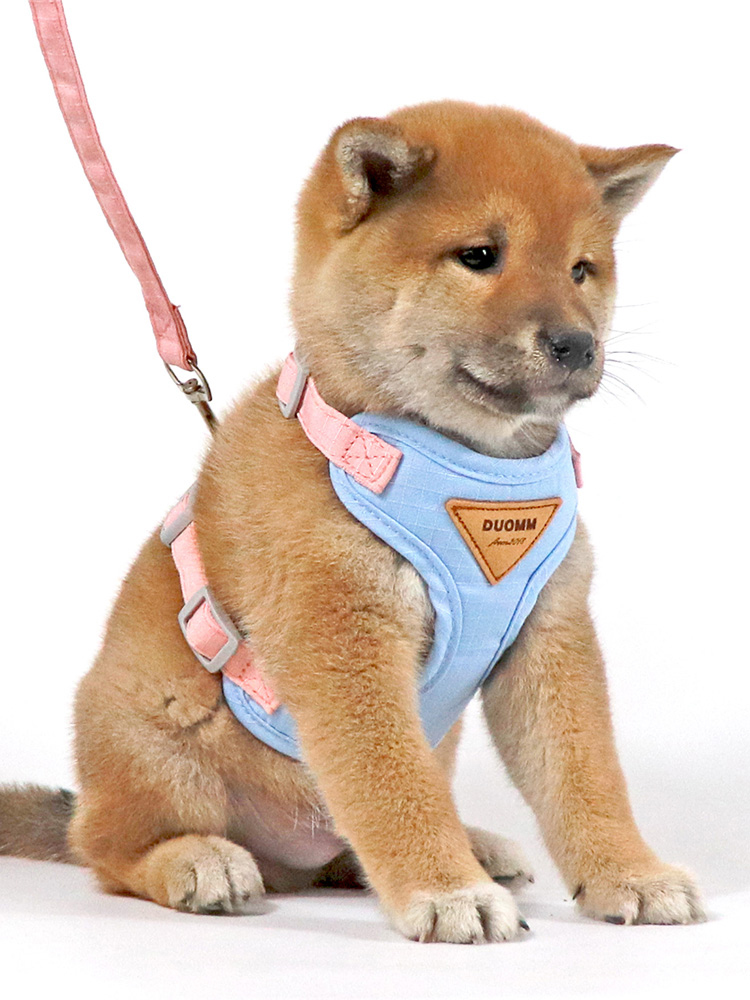 犬 ハーネス やわらか素材の美しい仕立てハーネス