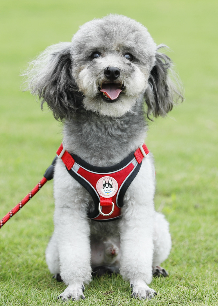犬 ハーネス ふわもこ安心フィットハーネス