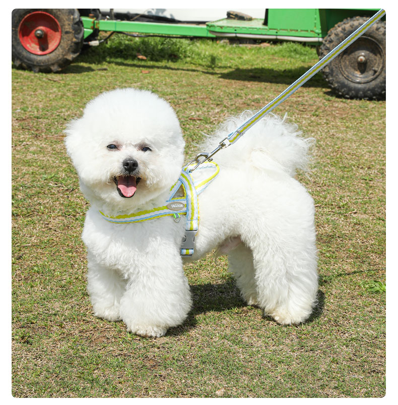 犬 ハーネス やさしさ重視 ソフトフィットハーネス