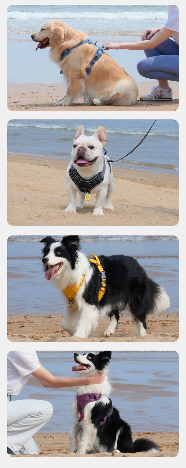 犬 ハーネス リード付きソフトメッシュ安心ハーネス