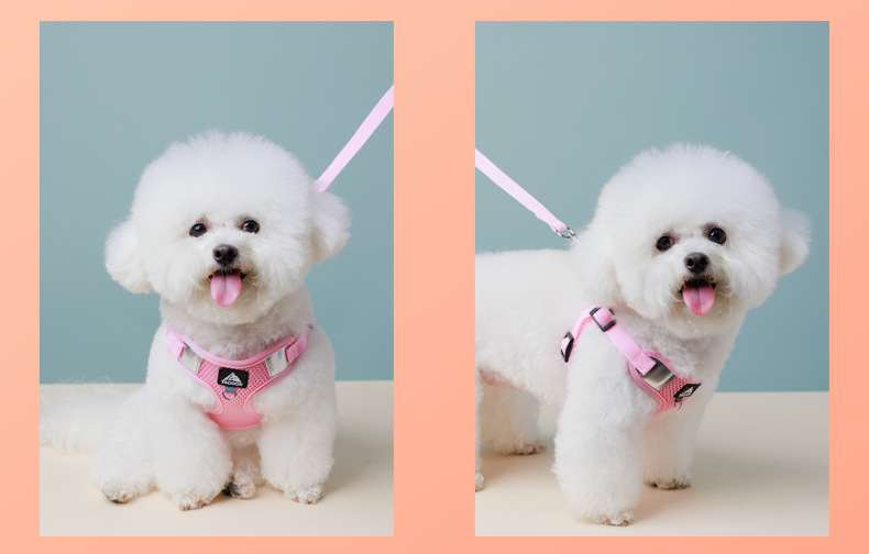 犬 ハーネス やわらか快適メッシュハーネス