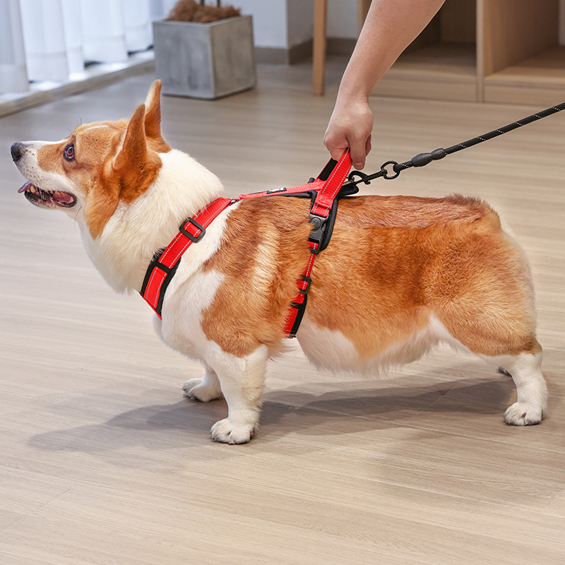犬 ハーネス 優美シンプル 安心ハーネス