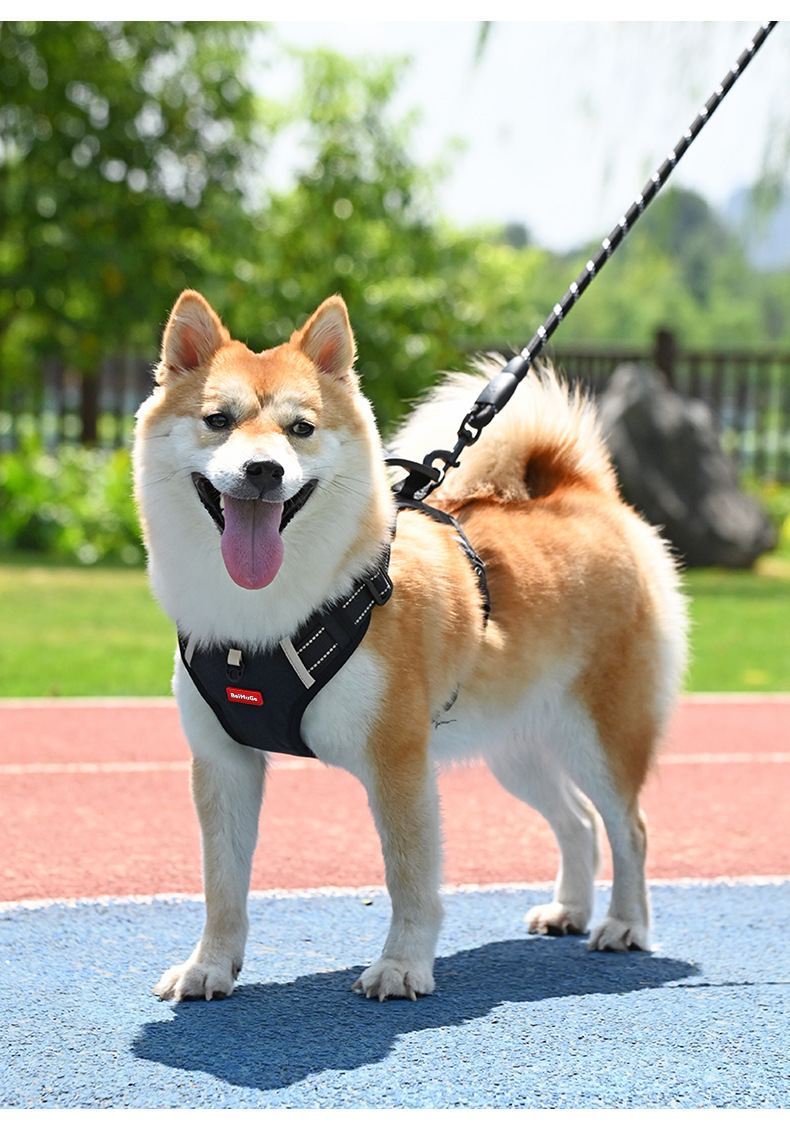犬 ハーネス 柔らか素材の安心ハーネス