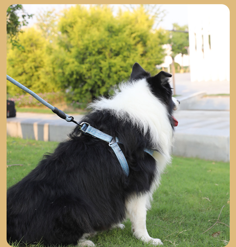 犬 ハーネス やさしさ結び 散歩ハーネス