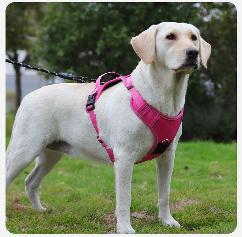 犬 ハーネス しなやかフィット ソフトハーネス