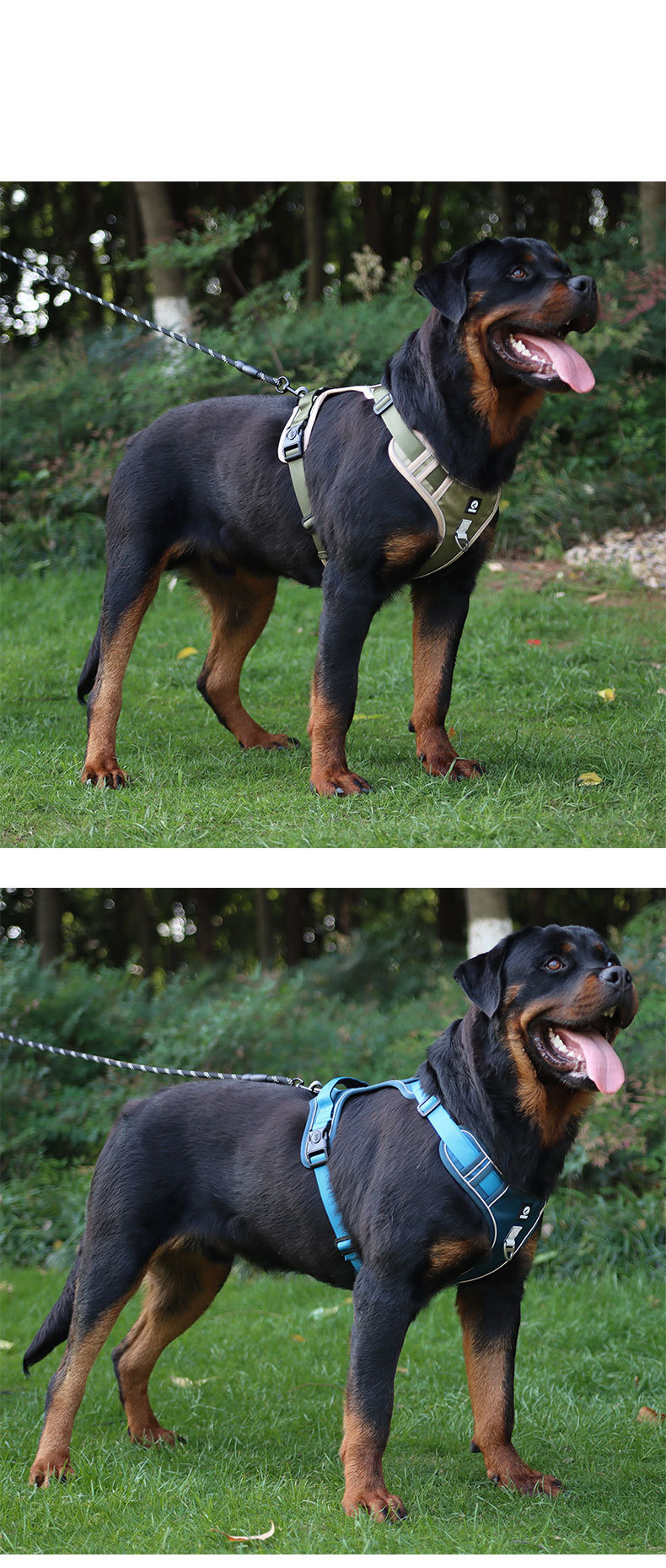 犬 ハーネス ソフトフィット快適ハーネス