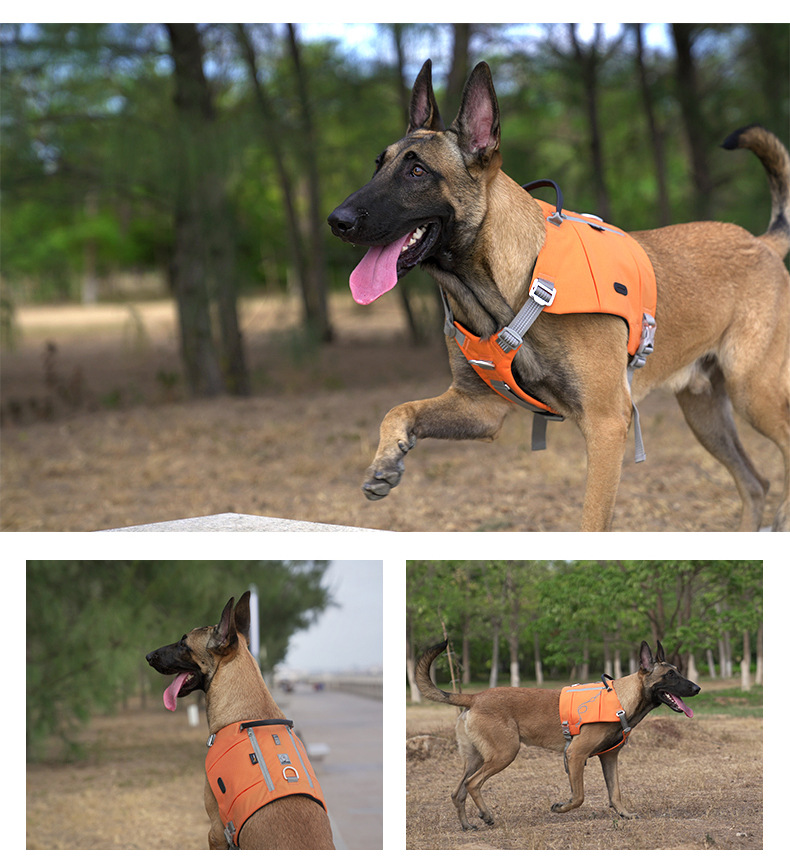 犬 ハーネス アウトドア機能派 全天候型ハーネス
