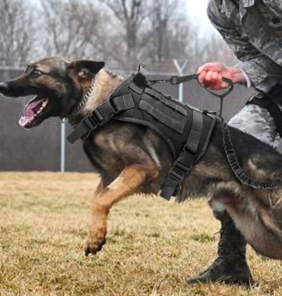 犬 ハーネス 実用的な機能美 多目的戦術犬用ハーネス