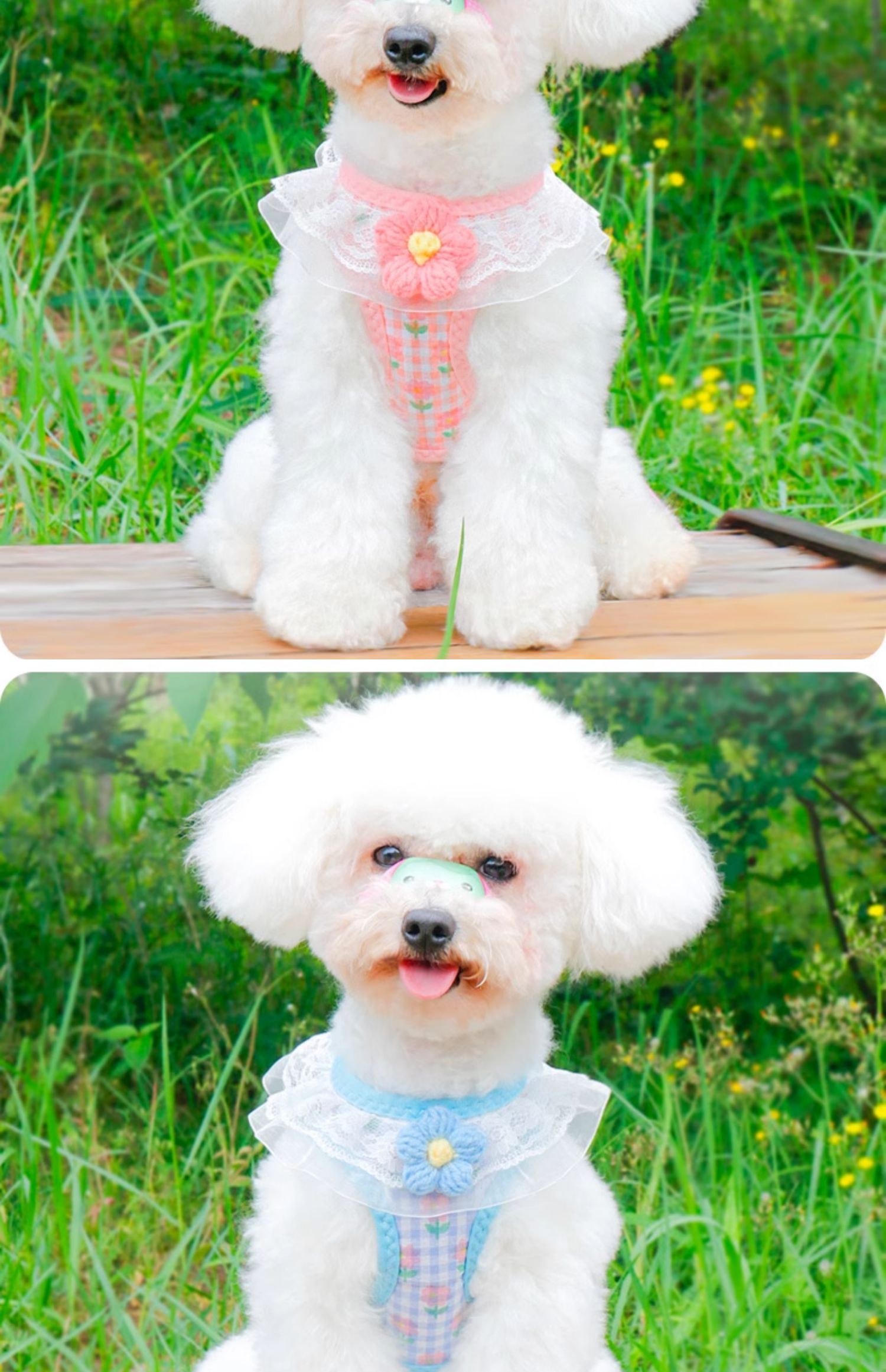 犬 ハーネス 優美な花レースフリルハーネス