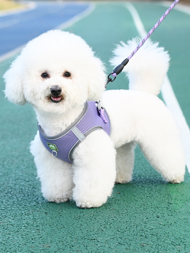 犬 ハーネス やわらか素材 メッシュ胴輪