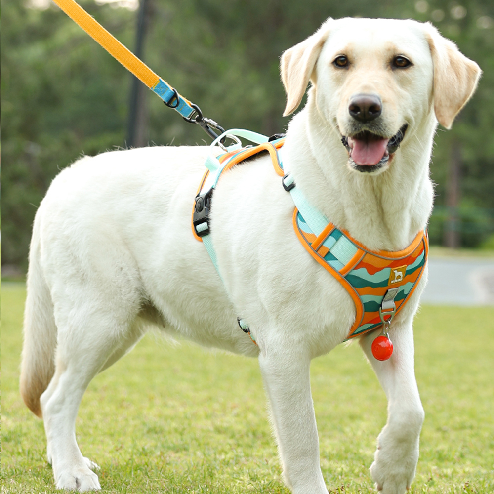 犬 ハーネス やさしさ包む 快適メッシュハーネス