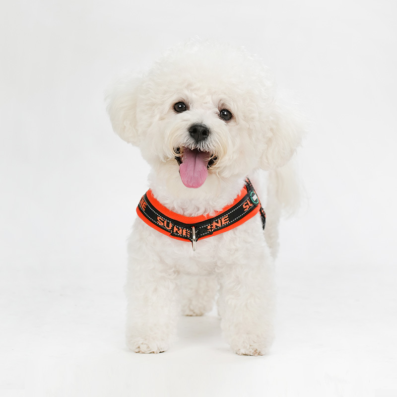犬 ハーネス 小型犬用緊急対応ハンドル付き胴輪