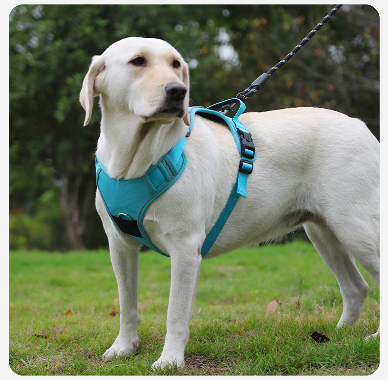 犬 ハーネス しなやかフィット ソフトハーネス