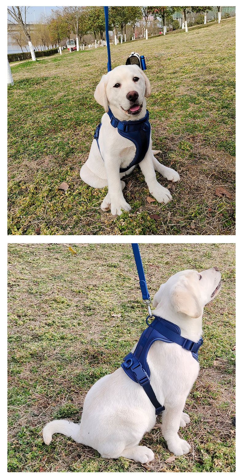 犬 ハーネス やさしい呼吸ハーネス