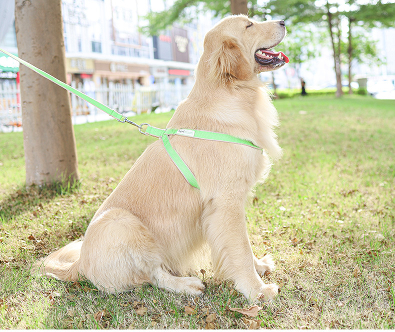 犬 ハーネス やさしい着心地 ソフトフィットハーネス