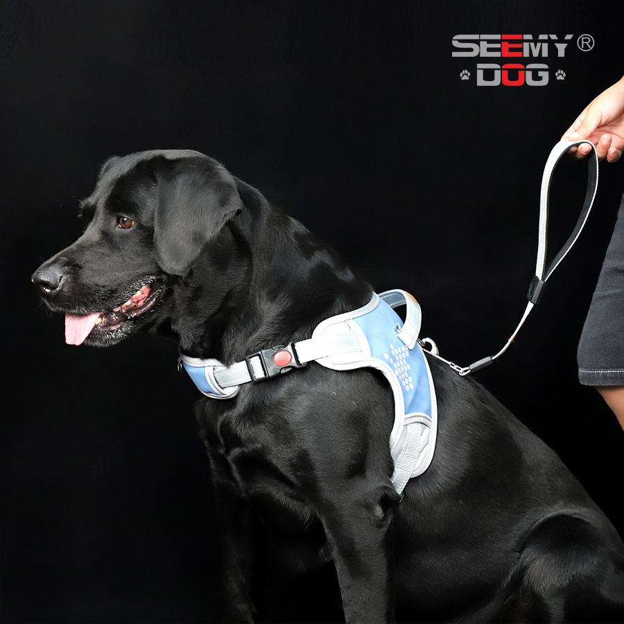 犬 ハーネス 職人の技光る快適ハーネス