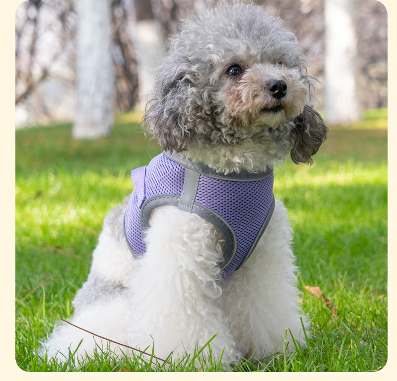 犬 ハーネス メッシュ素材 快適ハーネス