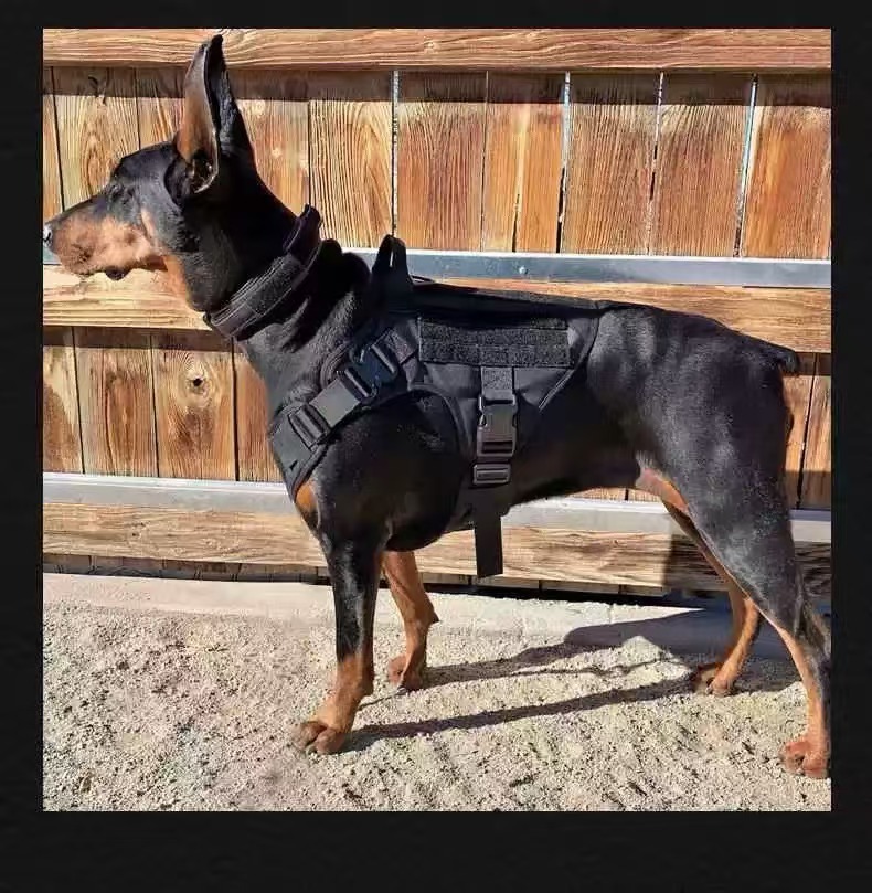犬 ハーネス 実用的な機能美 多目的戦術犬用ハーネス