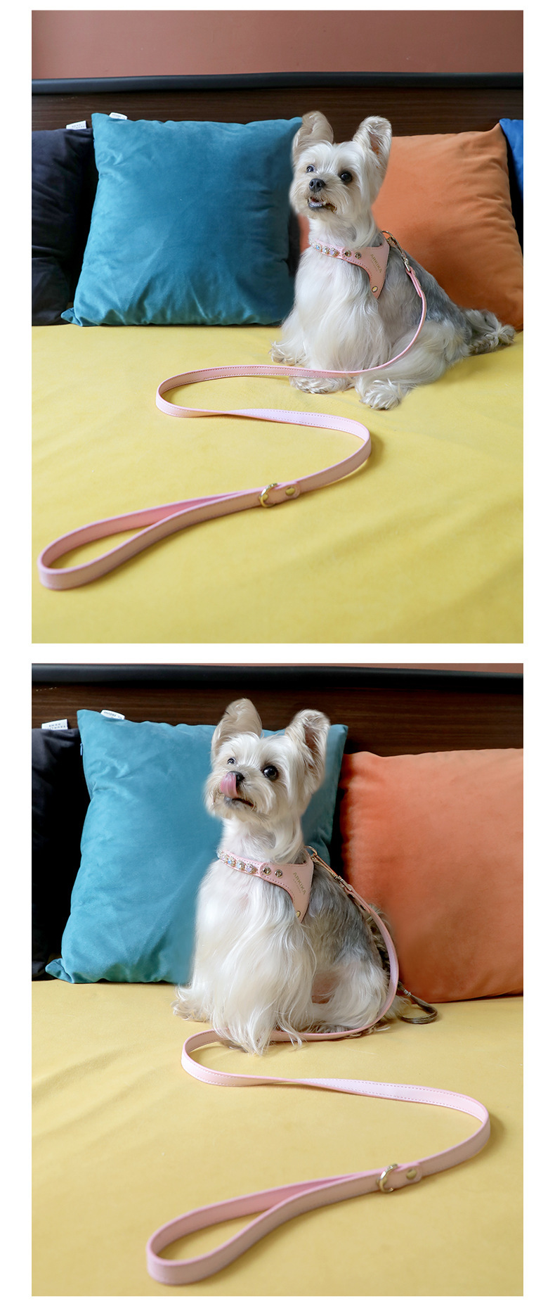 犬 ハーネス キラキラ輝く アクセサリー風ハーネス