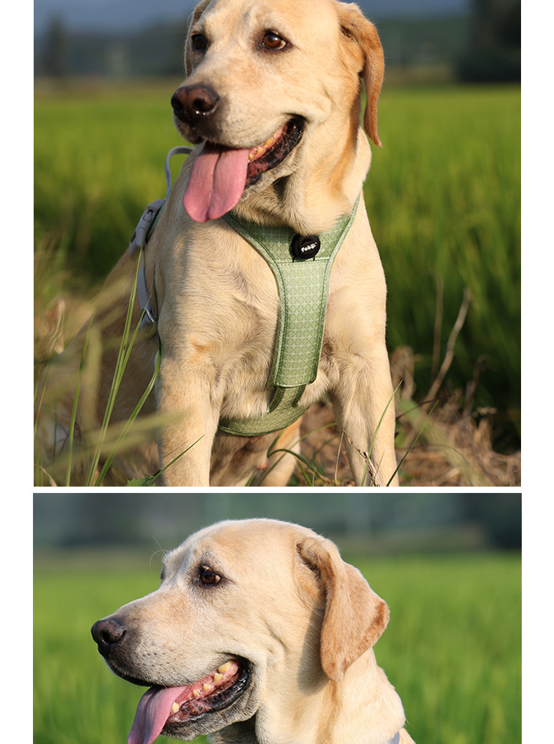 犬 ハーネス なめらかフィットハーネス
