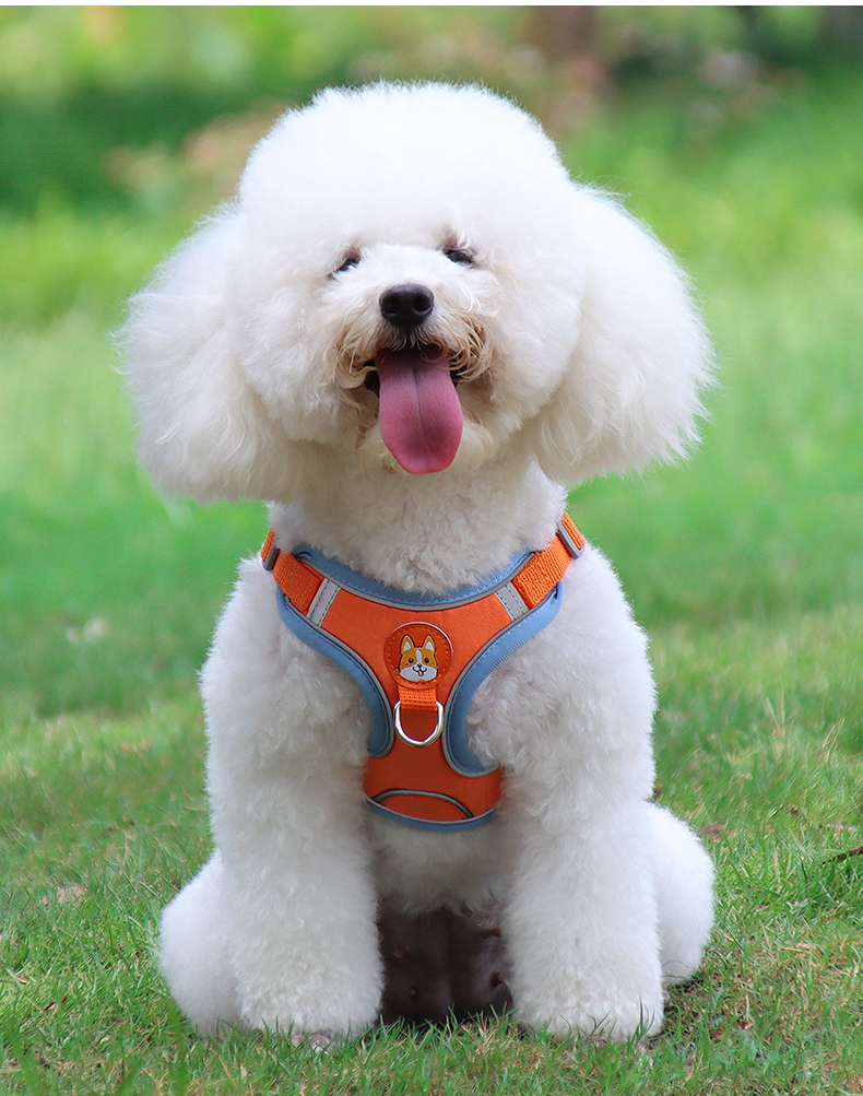 犬 ハーネス やさしい散歩ハーネス＆リードセット