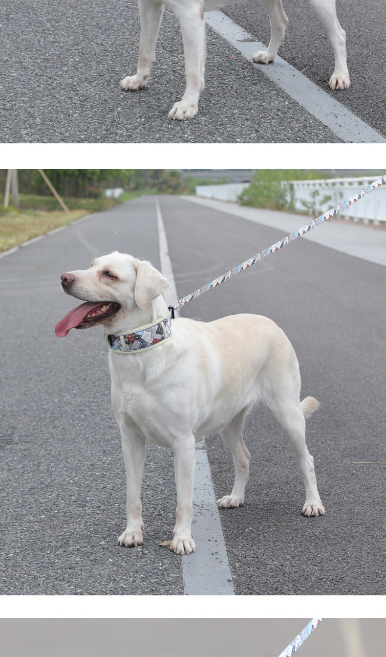 犬 ハーネス 和柄うたかた リードハーネスセット