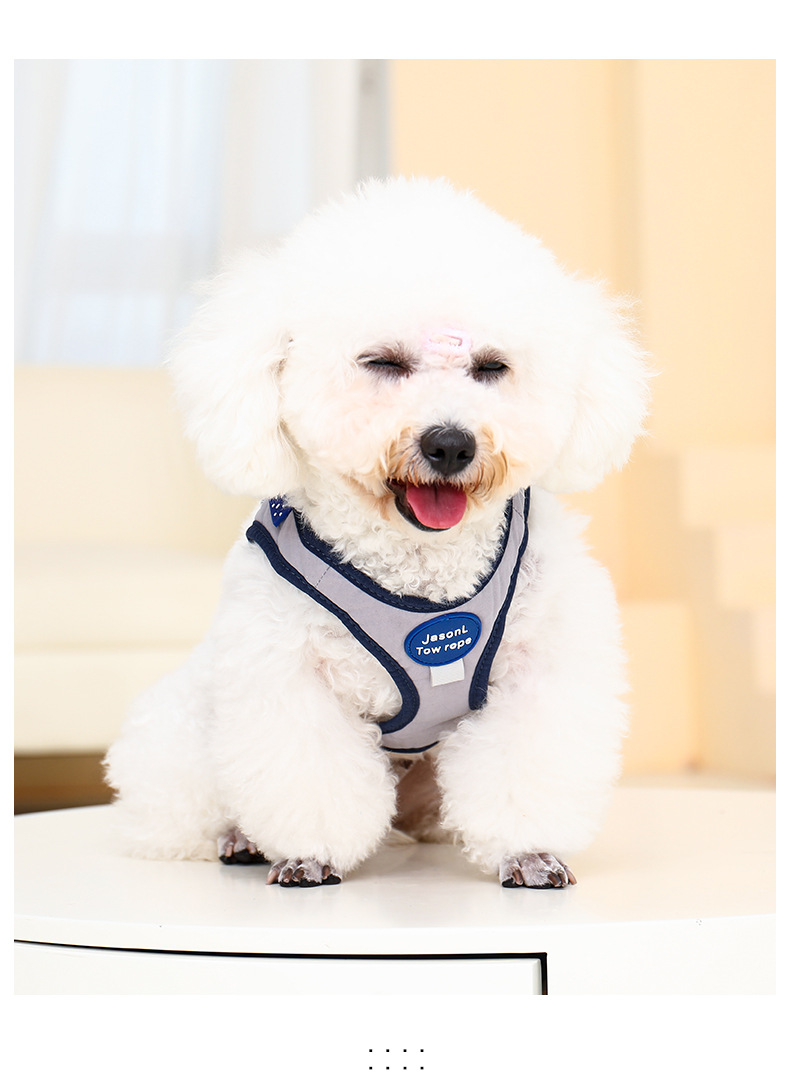 犬 ハーネス やさしさ包むおしゃれ散歩ハーネス