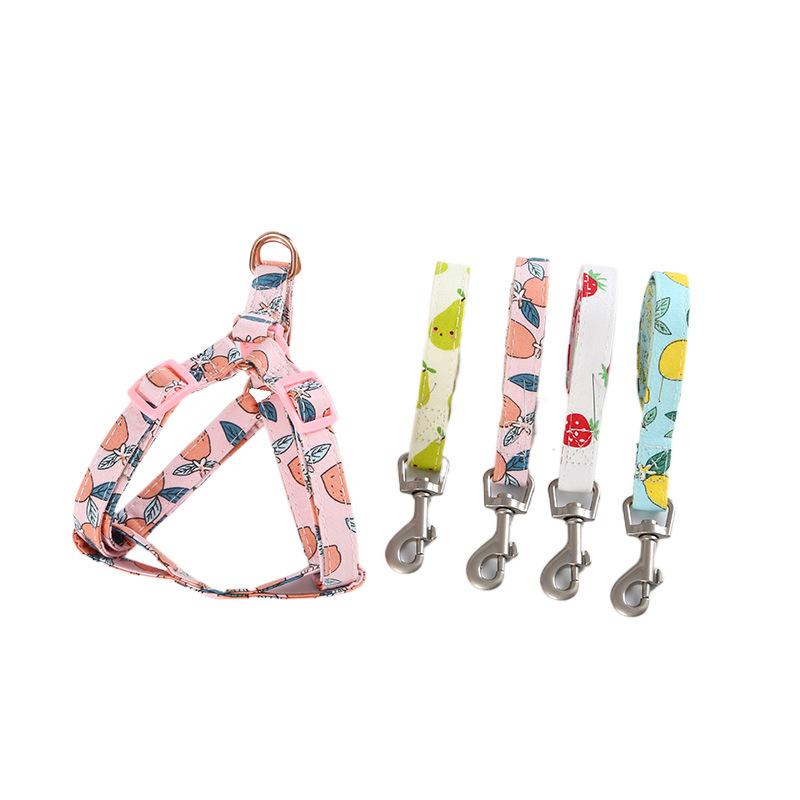 犬 ハーネス フルーツガーデン ペット用ハーネスセット