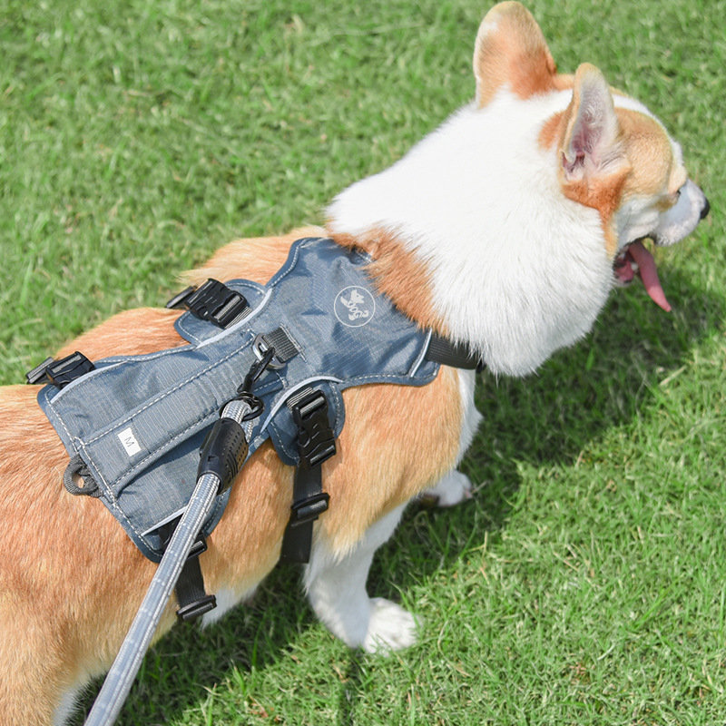 犬 ハーネス やさしくフィット 軽量ハーネス