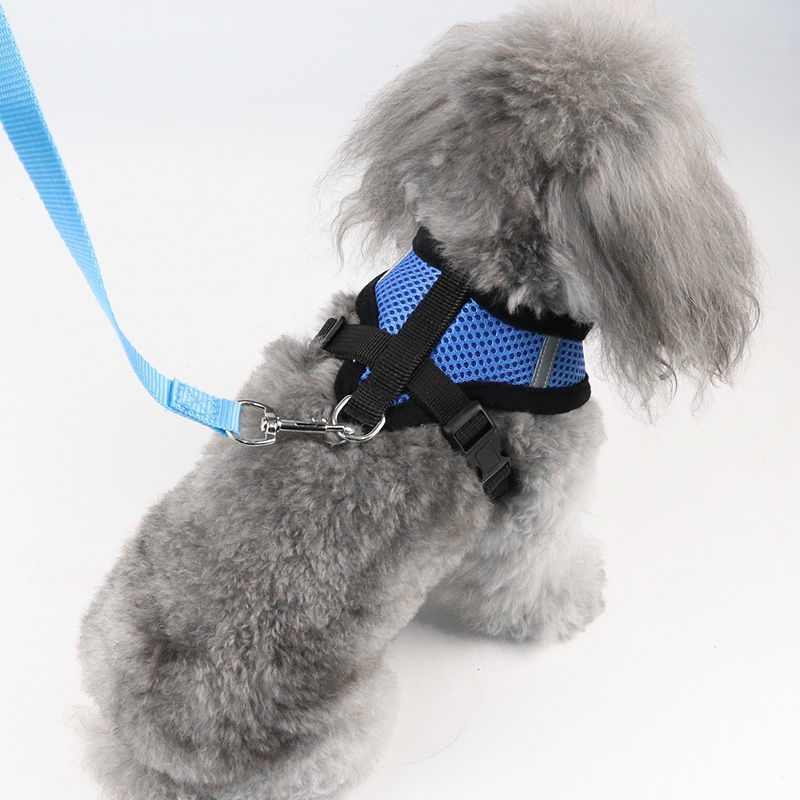 犬 ハーネス やさしい呼吸メッシュハーネス