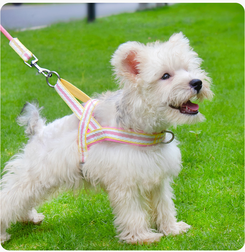 犬 ハーネス やわらか波織りハーネスセット