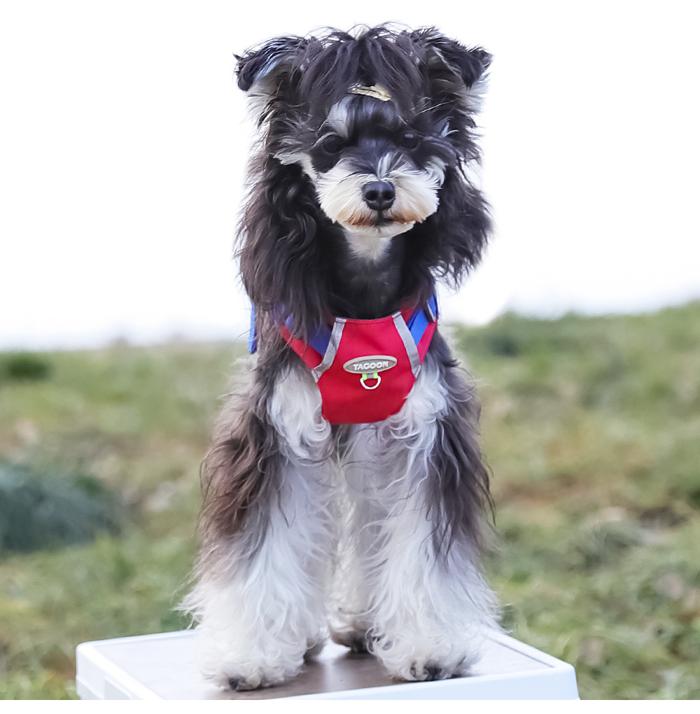 犬 ハーネス やわらか仕立て 職人ハーネス