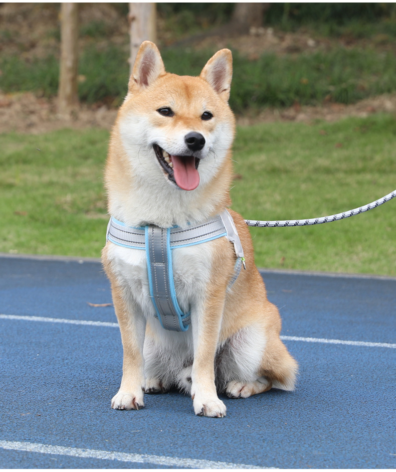犬 ハーネス やさしさ包む もこもこ胸あてハーネス