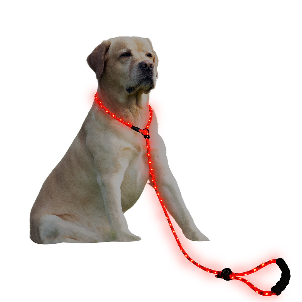 犬 ハーネス 光るハーネス「輝犬」