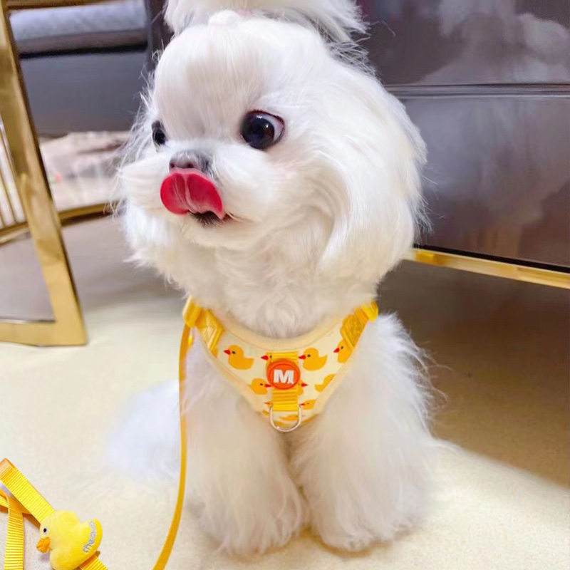 犬 ハーネス おさんぽアヒルさんハーネスセット