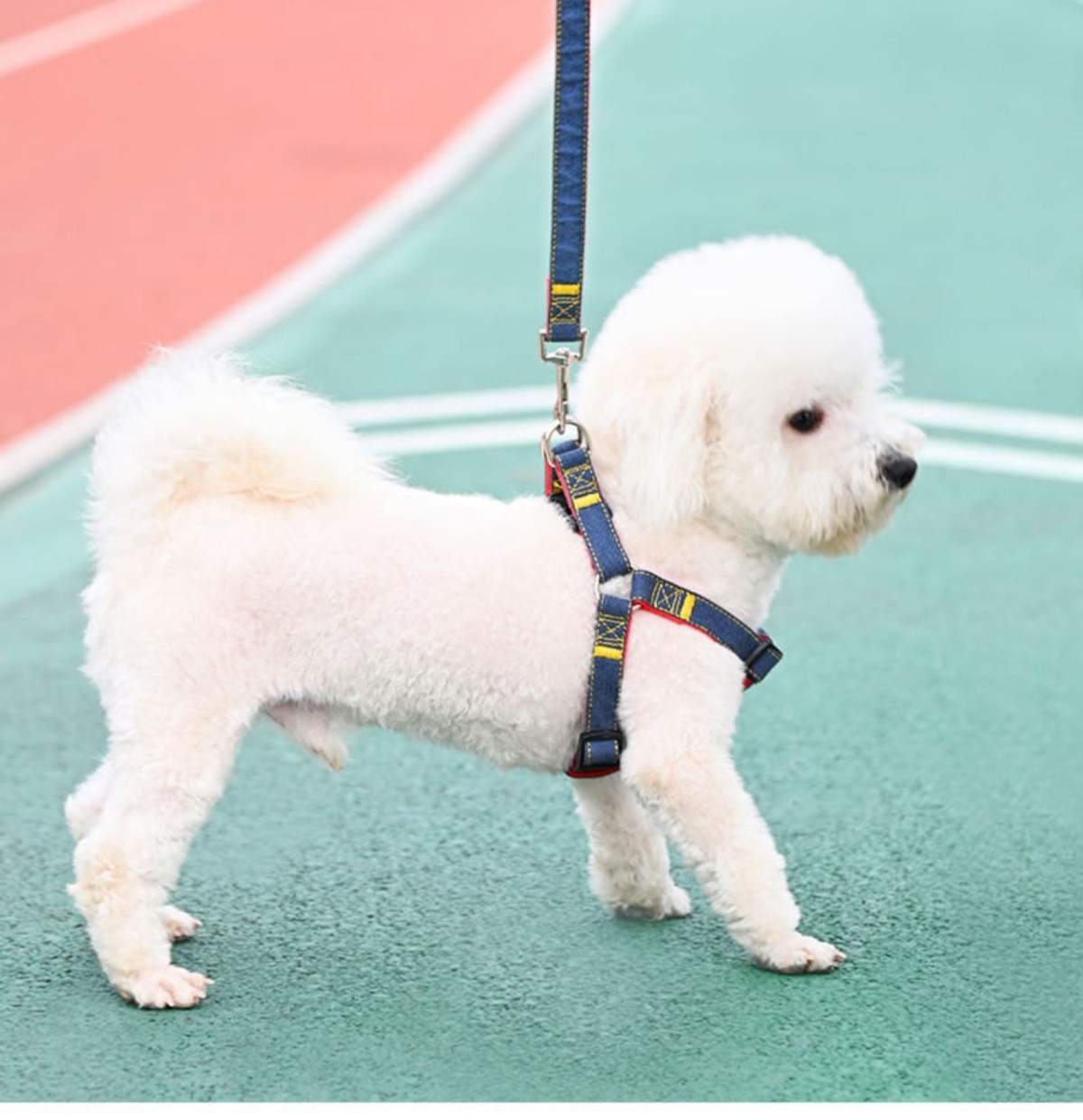 https://fulmo-img-server.com/wonderfulharness/8dd79eb9-aba3-4088-b1c0-bb30df0b2ac5.jpg