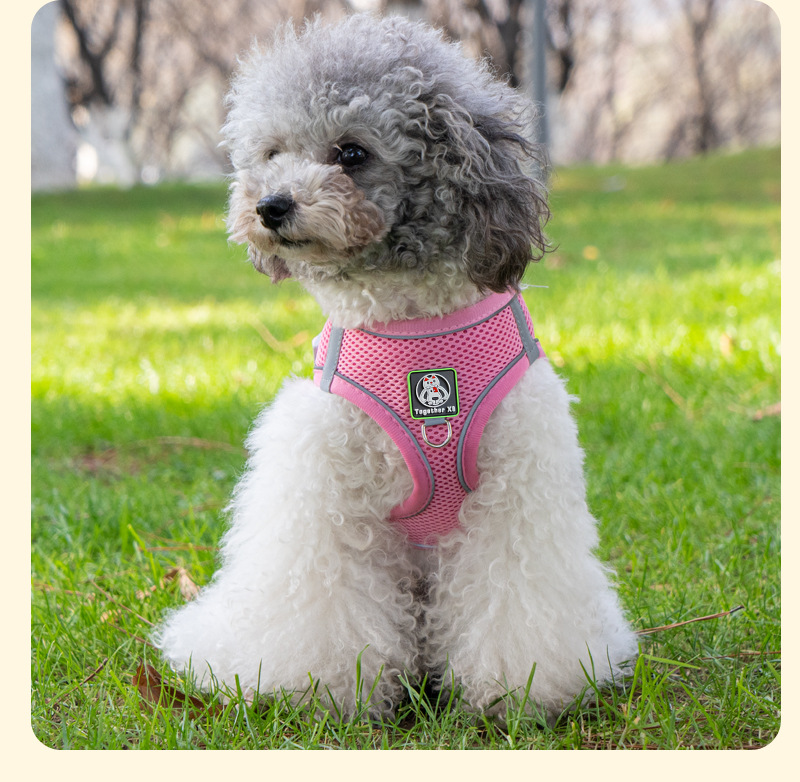 犬 ハーネス メッシュ素材 快適ハーネス