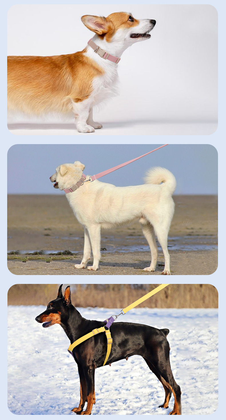 犬 ハーネス なめらか軽やか コンフォートハーネスセット
