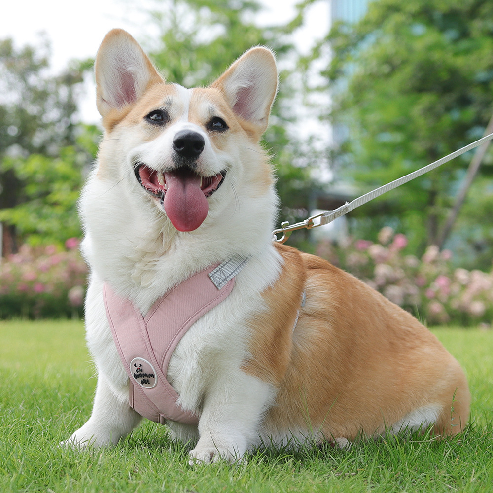 犬 ハーネス なめらか着心地 やさしいフィット ハーネス